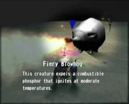Reel9 Fiery Blowhog