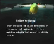 Reel27 Yellow Wollywog