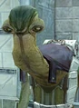Chodohabat1.JPG