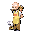 Torre Pokemon