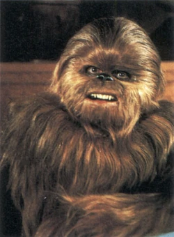Lumpy.jpg