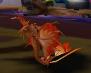 Golden dragonhawk hatchling