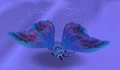 Blue moth.jpg