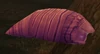 Temporal Parasite
