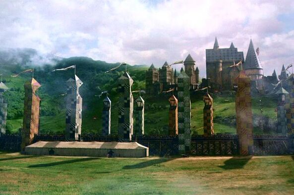 Quidditch Pitch.JPG