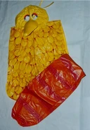Bencooperbigbird