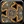 Inv shield 31
