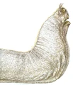 Giant Swamp Slug.jpg