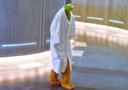 Kermitdoctor edited