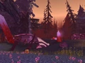 The Lost Fold.jpg