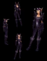 Champions vestments.jpg