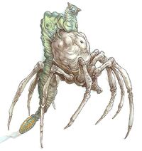 KnobbySpiderMorp-woswfg