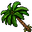 Palm