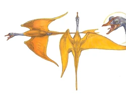 WhisperBird-woswfg