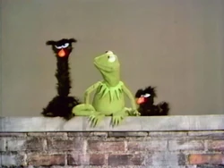 Kermit and Snerfs