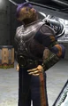 Desann.jpg
