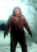 Bigfoot2
