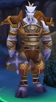 Vindicator Idaar