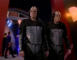 Miradorn twins