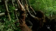 3x07 Alex's hideaway.jpg