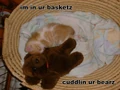 Kbphoto.jpg
