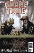 Swamp Thing v.4 27