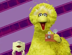 Ewcameras-bigbird