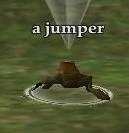 A jumper (Visible).jpg