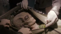Nisei Alien