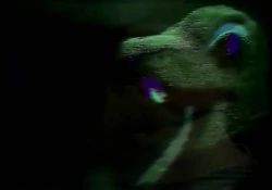Rover joe swamp