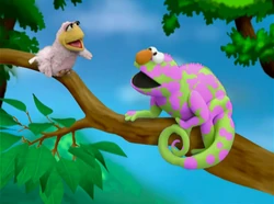 Ewskin-chameleon