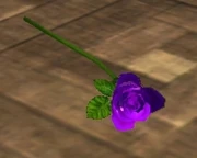 Single Purple Rose (Visible).jpg