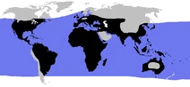 World.distribution.testudines.1