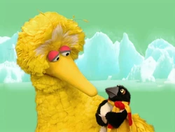 Ewpenguins-bigbird