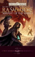 Servant of the Shard2