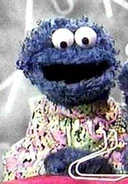 Cookie Monster's Mommy