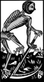 Thumbnail for version as of 18:54, February 22, 2007