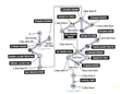 Greatcrystalmap