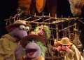 Thumbnail for version as of 14:18, February 23, 2007