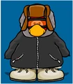Robbsi, winter dude