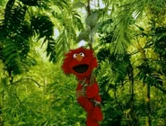 Ewflowers-tarzan