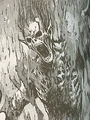 Darkhanburned.jpg