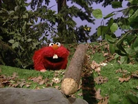 Ewteeth-beaver.jpg