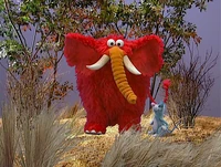 Ewteeth-elephant.jpg