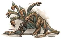 Hydra.JPG