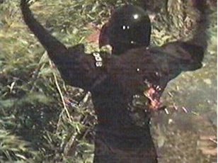 Fembots -6