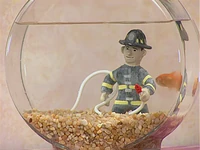 Ewfire-dorothy.jpg