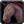 Ability Mount NightmareHorse