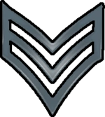 Sergeant guard