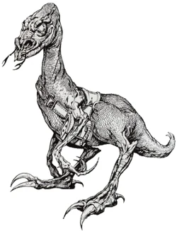 Sh'tk'ith.jpg